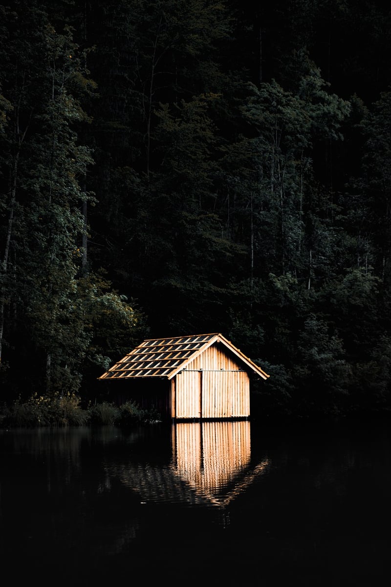 Forest Cabin Retreat